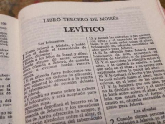 La Biblia El Libro De Lev Tico Resumen