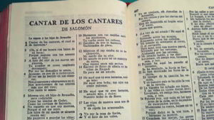 La Biblia Libro Cantar De Los Cantares Resumen