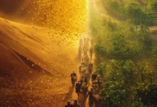 Descubre el mensaje de Josué 5:12 sobre la provisión divina. Aprende cómo Dios cambia su forma de bendecirnos según nuestra madurez espiritual.