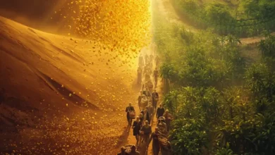 Descubre el mensaje de Josué 5:12 sobre la provisión divina. Aprende cómo Dios cambia su forma de bendecirnos según nuestra madurez espiritual.