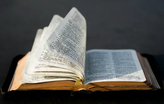 La Biblia dice que María no es corredentora ni mediadora